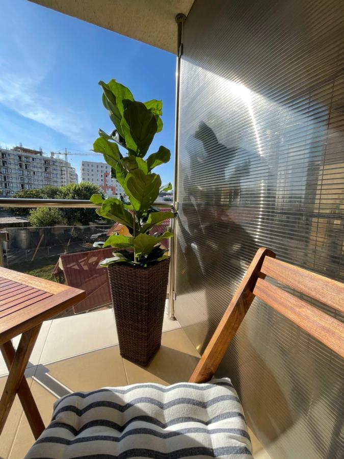 En Passant / A Time In Iasi Apartment Luaran gambar